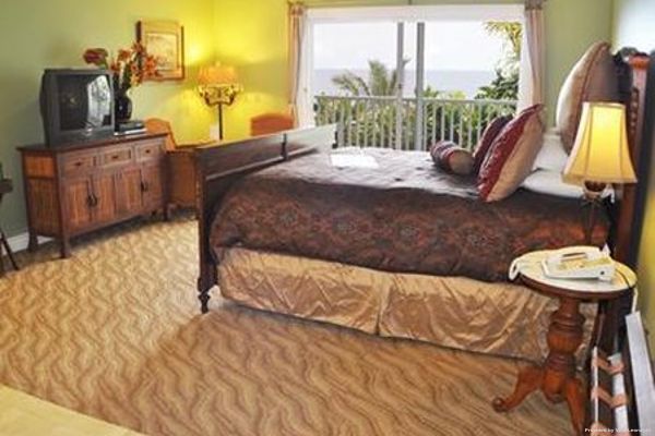 Palms Cliff House Inn (Honomu)